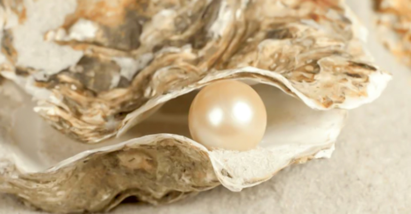 pearl source